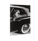 Convertible Feline I
