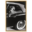 Convertible Feline I