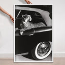 Convertible Feline I