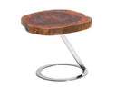 Everett Modern Live Edge Wood End Table