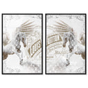 Double vision set