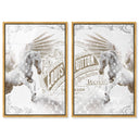 Double vision set