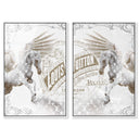 Double vision set
