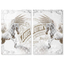 Double vision set