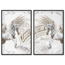 Double vision set