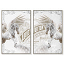 Double vision set
