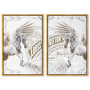 Double vision set