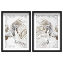 Double vision set