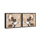 Bird of prey set
