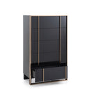 Cartier Modern Black & Rosegold Chest
