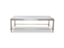Agar Modern Glass & Stainless Steel Coffee Table