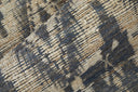 Lilliana 0768F Silver/Gray