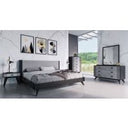 Panther Contemporary Black Mirror