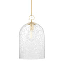 Aged Brass Belleville Pendant 14" by Hudson Valley
