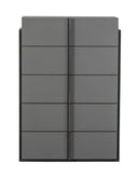 Lucia - Italian Modern Elm and Matte Grey Chest