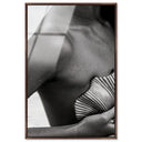 Lines and Curves