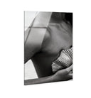 Lines and Curves