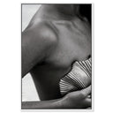 Lines and Curves