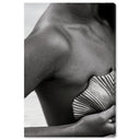 Lines and Curves