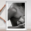 Lines and Curves