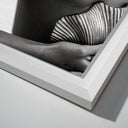 Lines and Curves