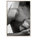 Lines and Curves