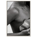 Lines and Curves
