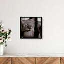 Body as Home