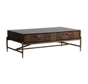 Shane - Modern Acacia & Brass Console Table