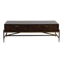 Shane - Modern Acacia & Brass Coffee Table