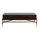Shane - Modern Acacia & Brass Coffee Table