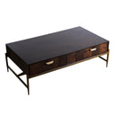 Shane - Modern Acacia & Brass Coffee Table