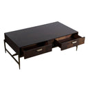 Shane - Modern Acacia & Brass Coffee Table