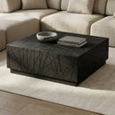 Kenda - Modern Black Oak Square Coffee Table With Storage