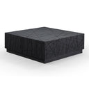 Kenda - Modern Black Oak Square Coffee Table With Storage