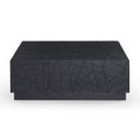 Kenda - Modern Black Oak Square Coffee Table With Storage