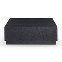 Kenda - Modern Black Oak Square Coffee Table With Storage