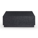 Kenda - Modern Black Oak Square Coffee Table With Storage
