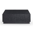 Kenda - Modern Black Oak Square Coffee Table With Storage