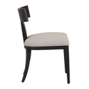 Fabien - Mid-Century Modern Dining Chair (Set of 2)