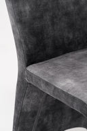 Ditka - Modern Velvet Dining Chair (Set of 2)