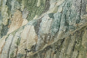 Breel 6350F Sage