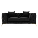 Clarice - Transitional Black Velvet Loveseat
