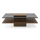 Clarion - Modern Walnut & Grey Glass Coffee Table