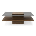 Clarion - Modern Walnut & Grey Glass Coffee Table