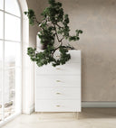 Bryan - Modern White Chest