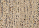 Grayson 3576F Beige/Multi