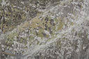 Cadiz 39FXF Green Gray