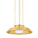 Aged Brass Woodrow Pendant 22" by Hudson Valley