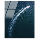 Curve Sea